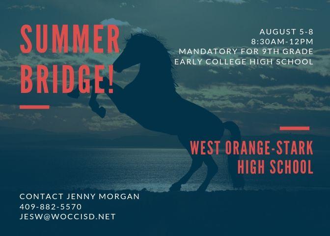 flyer of summer bridge program